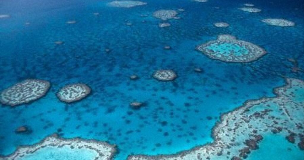 生物多様性、50年で73％低下 - 自然環境の損失や気候変動が影響 ｜ WWF調べ