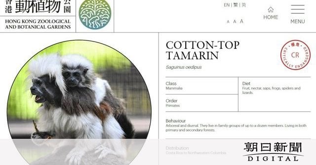 香港の動物園で絶滅危惧種含むサル9匹死亡、「耐性菌などに晒されている」愛護団体が飼育中止求め