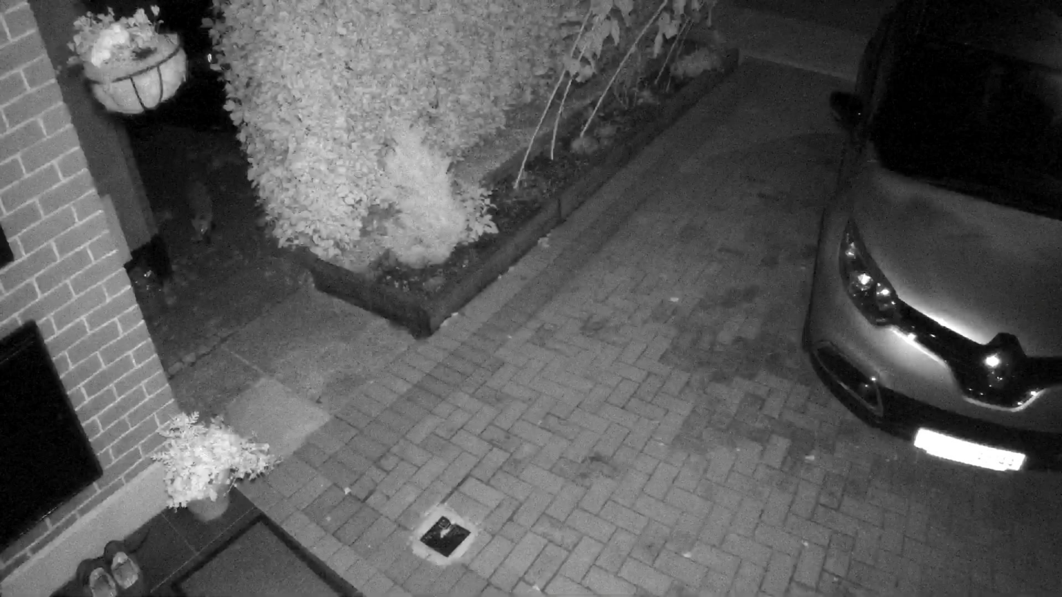 犯罪は制御不能です