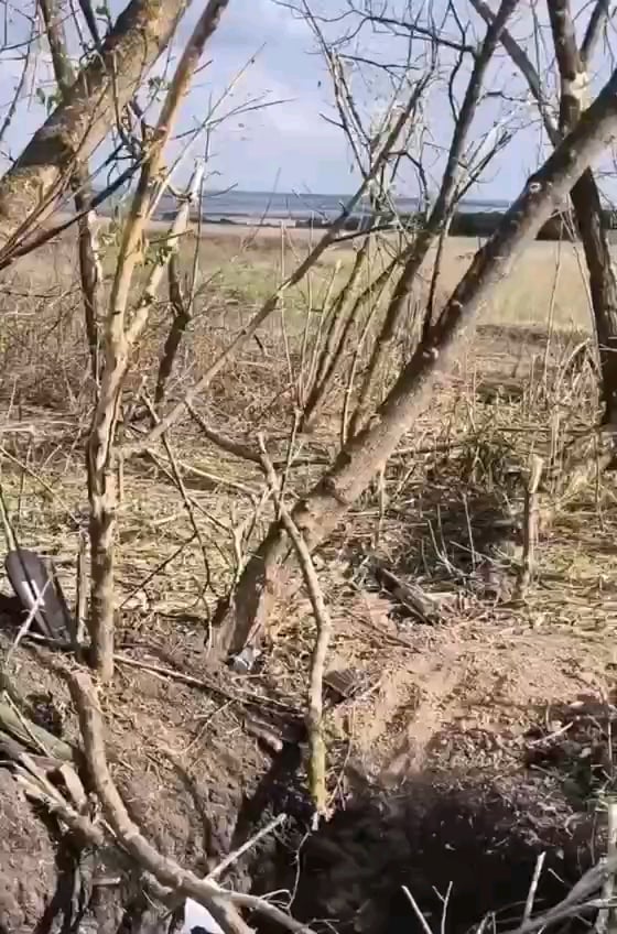 ウクライナ軍の戦闘員が、ロシア軍が陣地に対して定期的に行っている「肉攻撃」の映像を共有している。
