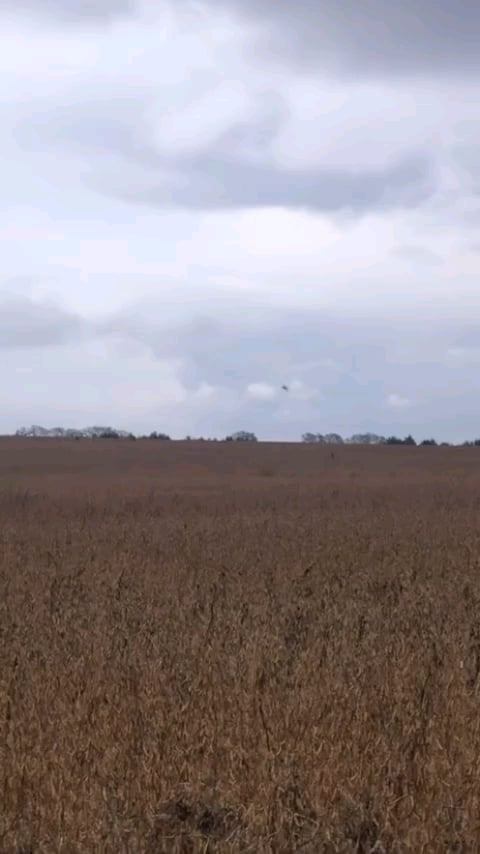 ウクライナの農民たちは、非常に低い高度でウクライナのSu-24MRの接近飛行を撮影した。