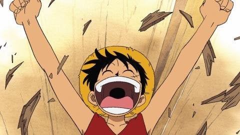 その後、DR はデンマーク語で吹き替えられた『ワンピース』の 30 話をリリースしました。