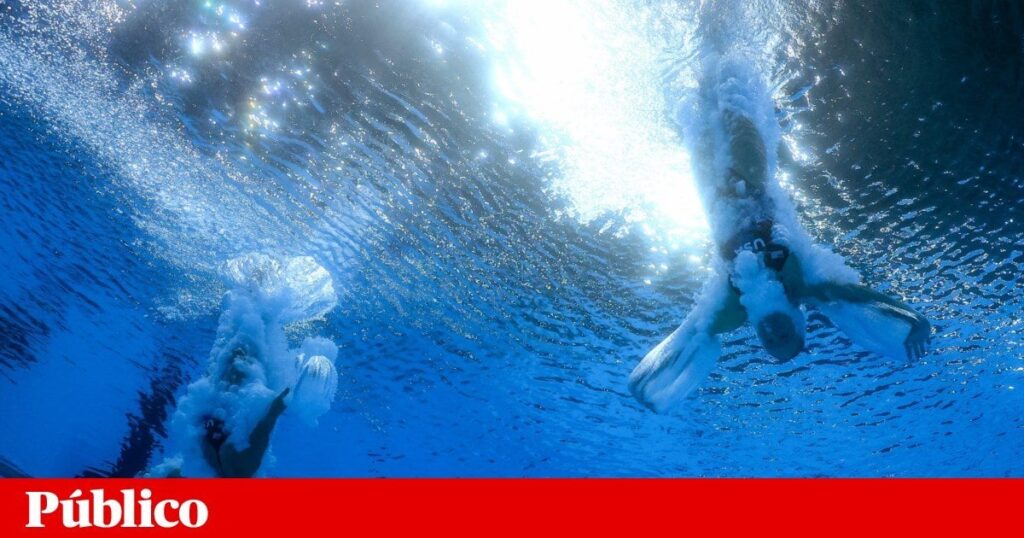 政府はOEにおけるスポーツの価値観を修正、もはや下落ではなく上昇 |その他のモダリティ |公共