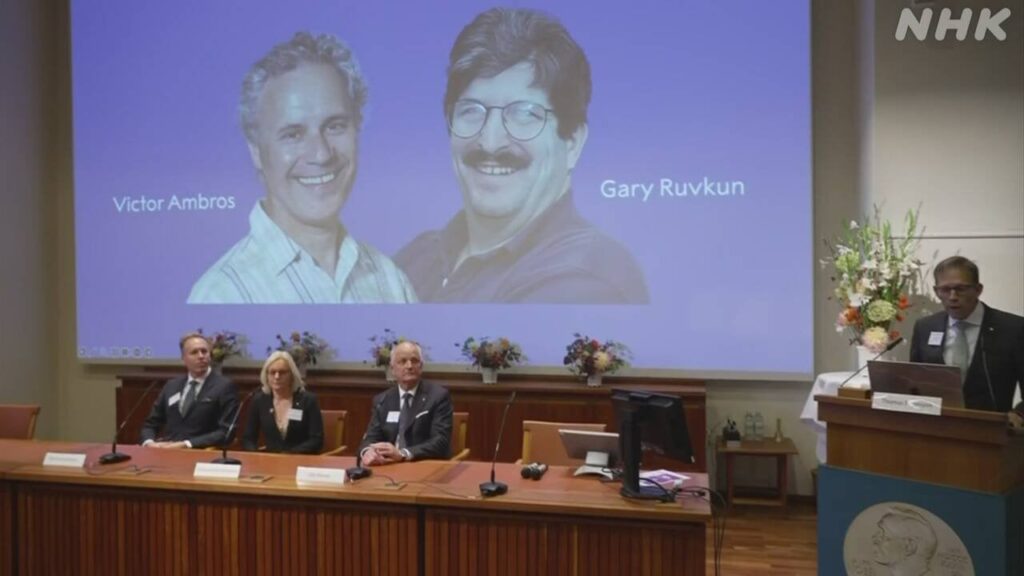 ノーベル生理学・医学賞にマイクロRNA分子発見の研究者ら2人 ビクター・アンブロスとゲイリー・ラブカン