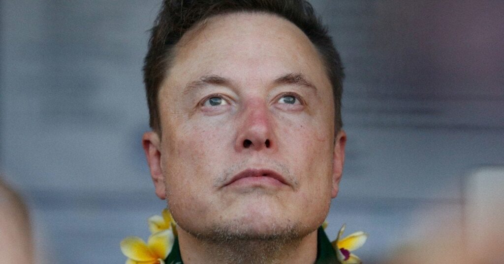 オーナーの「特権」を利用 偽情報で米大統領選挙戦かき乱すマスク氏