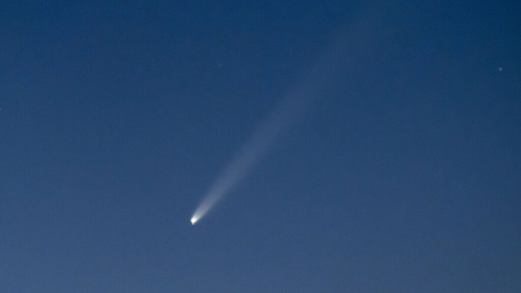 世紀の彗星になる可能性：デンマークの夕方の空に間もなく見ることができる