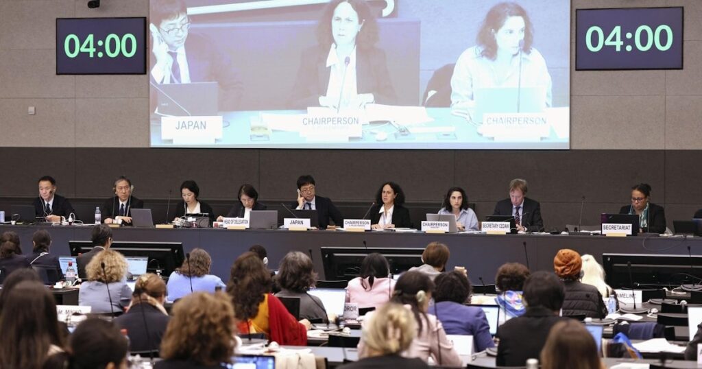 日本政府、差別撤廃委で夫婦別姓の推進方針示さず ｜ 国連