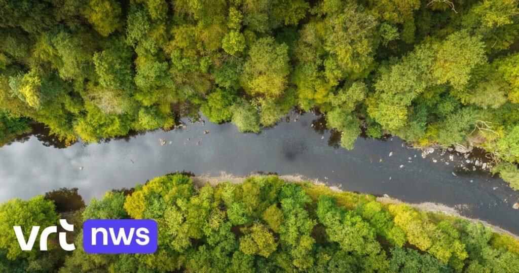 欧州委員会はベルギーの気候変動計画を待つのにうんざりし、侵害訴訟を開始