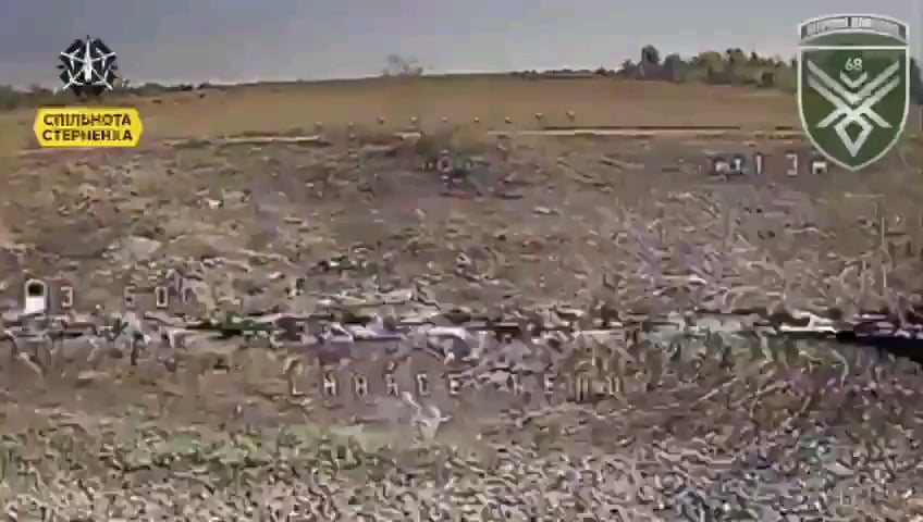 NSFW：ウクライナ第68猟兵旅団の「ドブブッシュズ・ホーネッツ」UAVチームはFPV攻撃ドローンを使用し、鉄道や破壊された装甲車両の下に隠れようとするロシア兵を攻撃した。ポクロフスク方向 - おそらくリシフカの近く。 2024 年 10 月。
