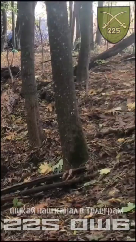 第225大隊はクルスク地方のロシアの拠点を占領した。