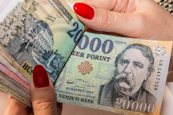 ハンガリー人の5分の1は、突然の100万ドルの出費を自腹でまかなうことしかできないため、友人に借金を求める人が増えている