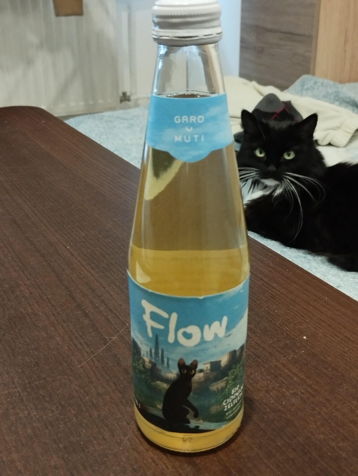 考えは？
