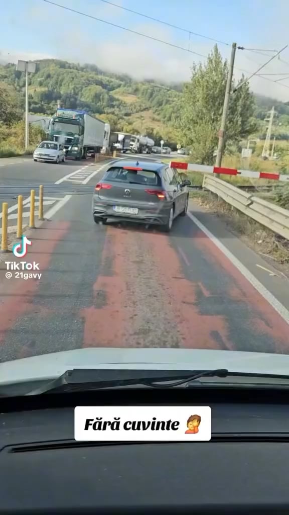 そう、電車が止まり、車掌が降りてきて、愚か者に遮断機の後ろに戻るように言いました…。