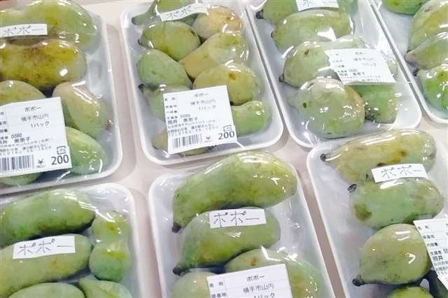 幻の果実「ポポー」販売中