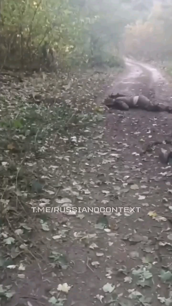 ストライキの後、2人のロシア人侵入者が道路で死んで横たわっている。ハリコフ地方で発生したと伝えられている。