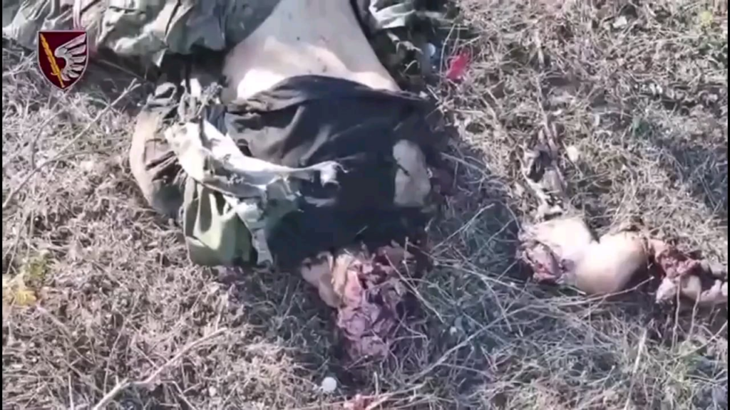 ウクライナ第79航空強襲旅団の空挺部隊は、またしてもロシアの機械化攻撃を撃退した。今回、ロシア軍は戦車1台と装甲車両9台を使用した。 UAFは戦車と10台の装甲車両のうち5台を、敵兵43名（KIA 20名、WIA 23名）とともに撃破した。ヴーレダール方向。 NSFW！