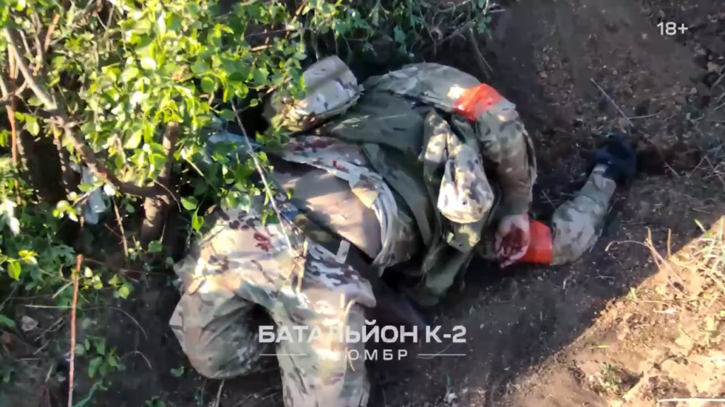 ロシア歩兵へのドローン手榴弾投下をまとめたもの。 18+