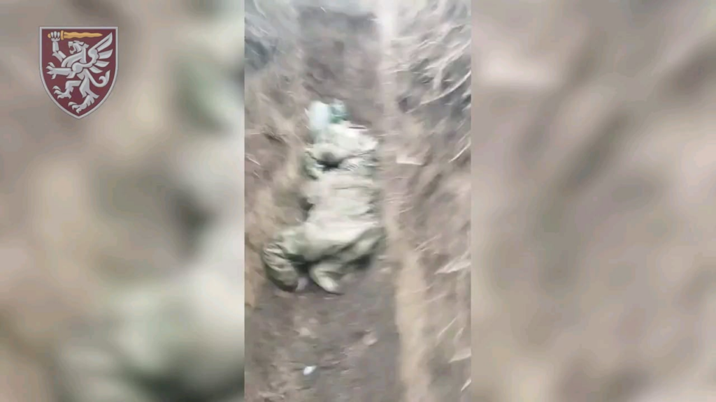 第80航空強襲旅団のウクライナ空挺部隊がクルスク地域のロシアの塹壕を占領し、太平洋艦隊第155分離海兵旅団から数名のロシア人戦争犯罪人を排除した。 2024 年 10 月。