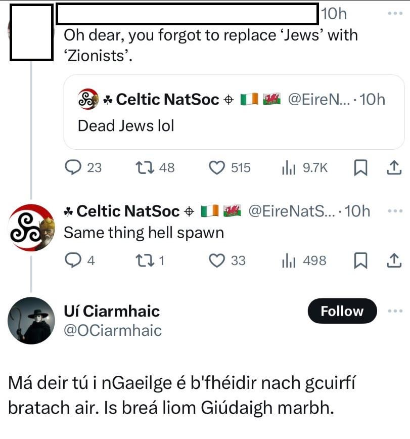 オンラインの反ユダヤ主義者たちは、憎しみや脅しの検閲を回避するためにアイルランド語を利用している。このポスターは「私は死んだユダヤ人を愛しています」と宣言しています。私たちはこれに対して立ち向かう必要があります。