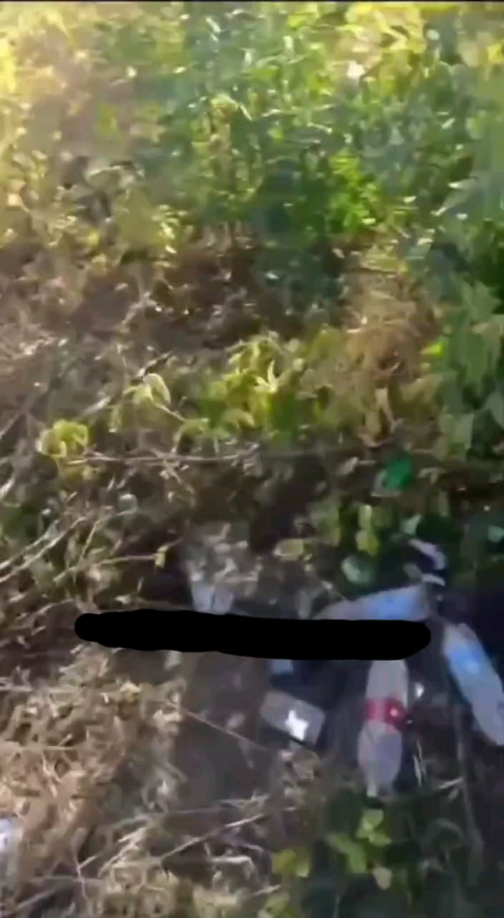 バイクに乗ったロシア兵士がウクライナ軍の無人機から逃げようとしたが、向かってきた軍人仲間の「ブハンカ」に衝突した。