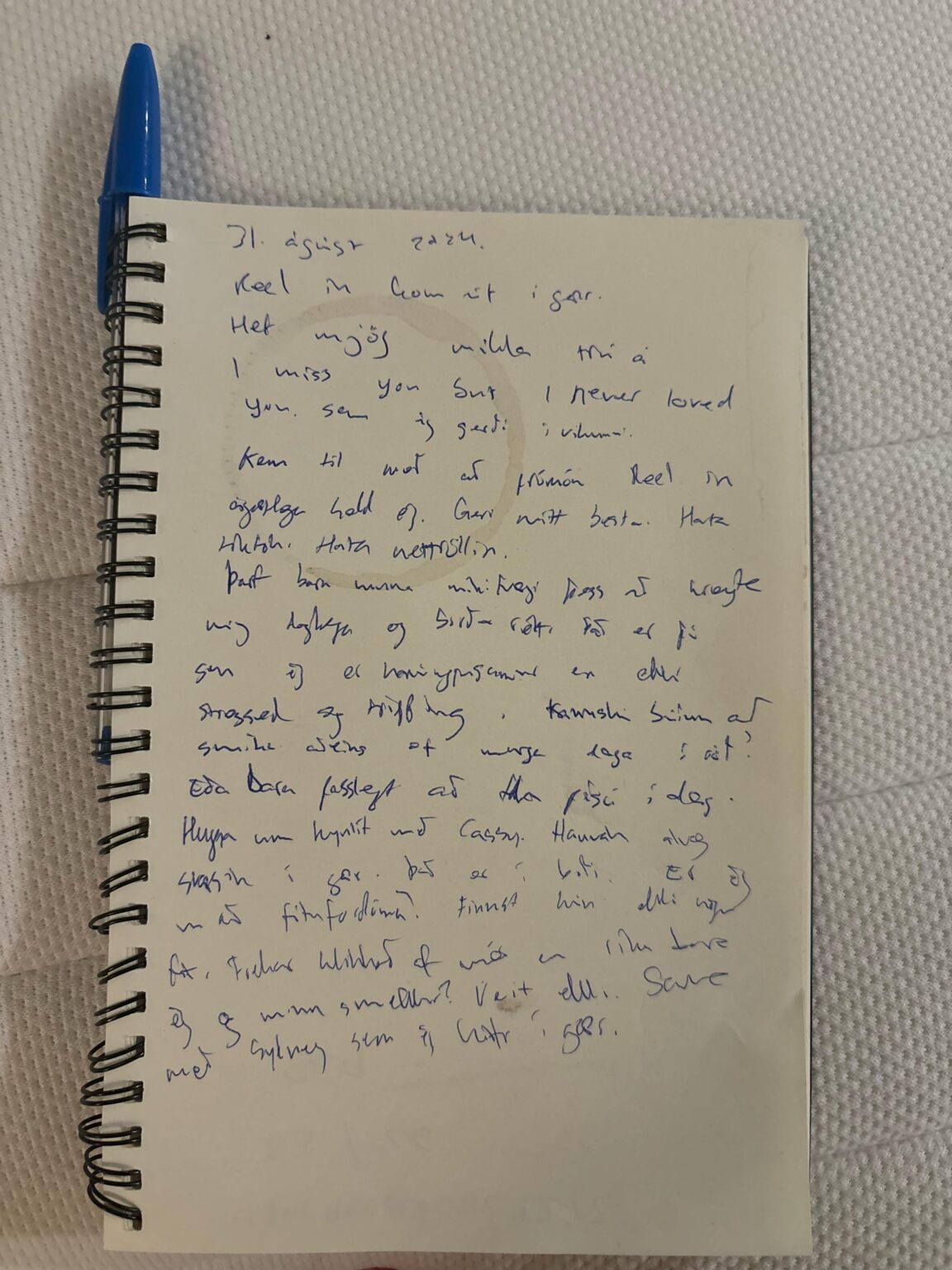 誰かこのメモを英語に翻訳してもらえませんか