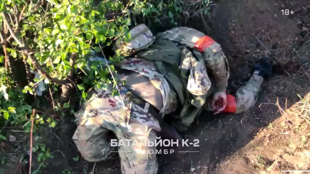 ウクライナの無人機がシベルスク方向のロシア兵士にVOGと手榴弾を投下