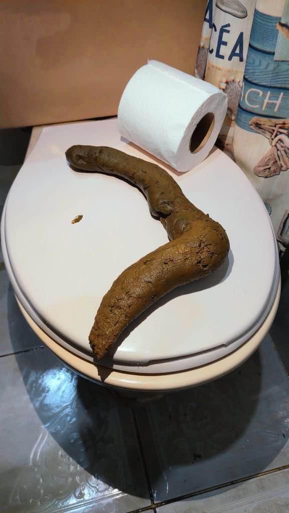 寮8Cのバスルームからの写真（UPTより）