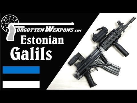 西へ傾く：エストニアのガリルス