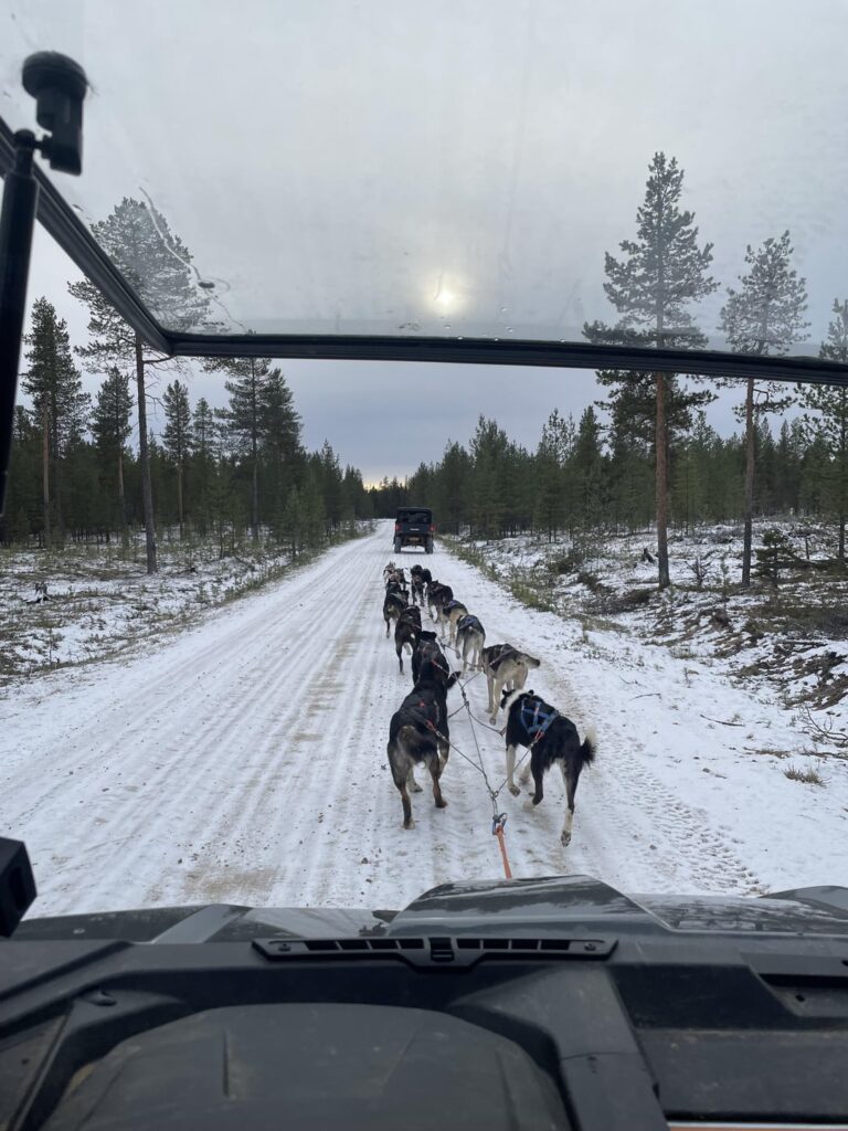 フィンランドの生活はこんな感じです❄️☃️