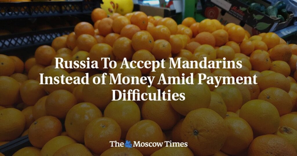 ロシア、支払い困難の中、お金の代わりにマンダリンを受け入れる - モスクワ・タイムズ