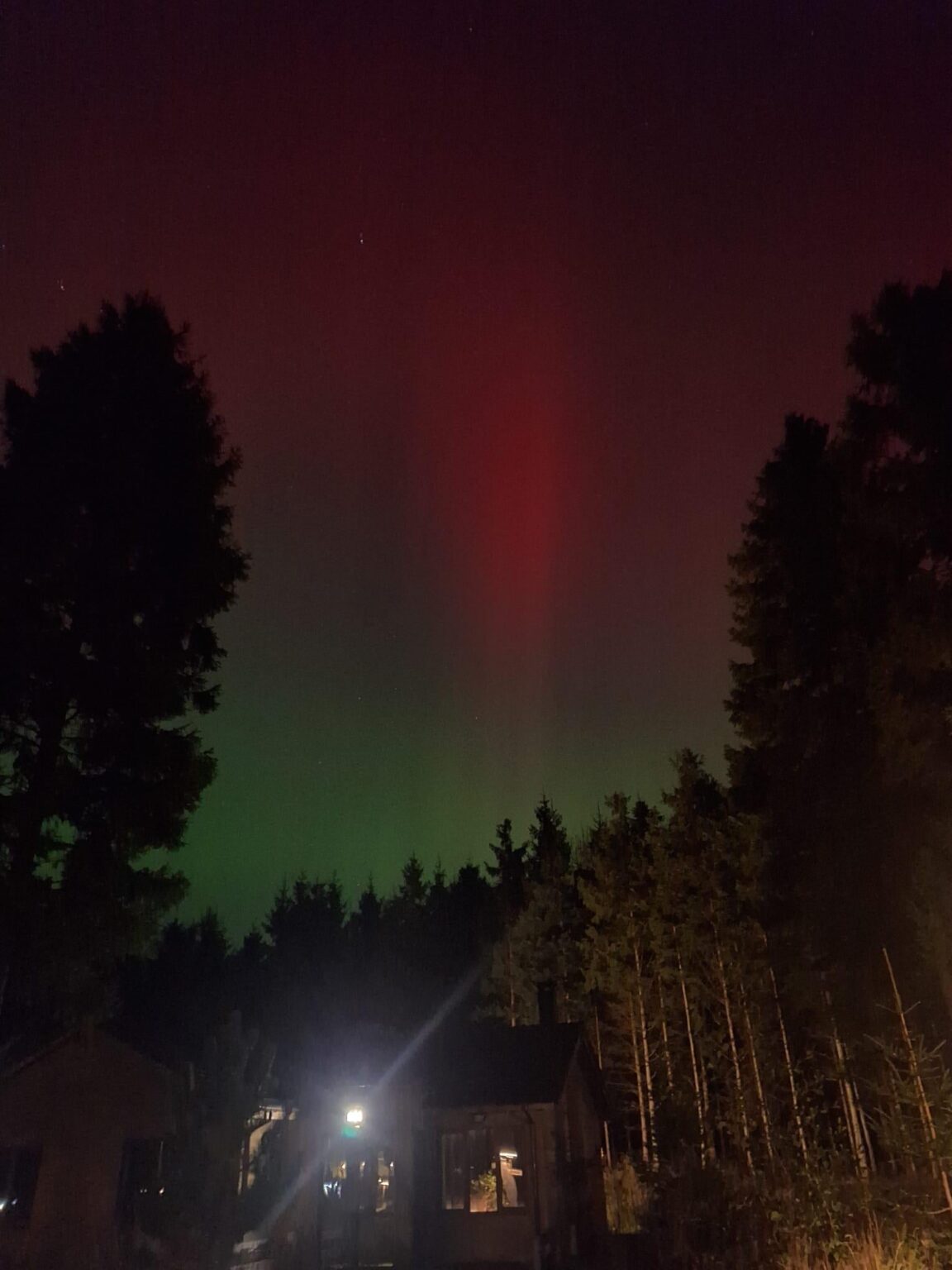 Center Parcs が私に請求できなかったことの 1 つです。