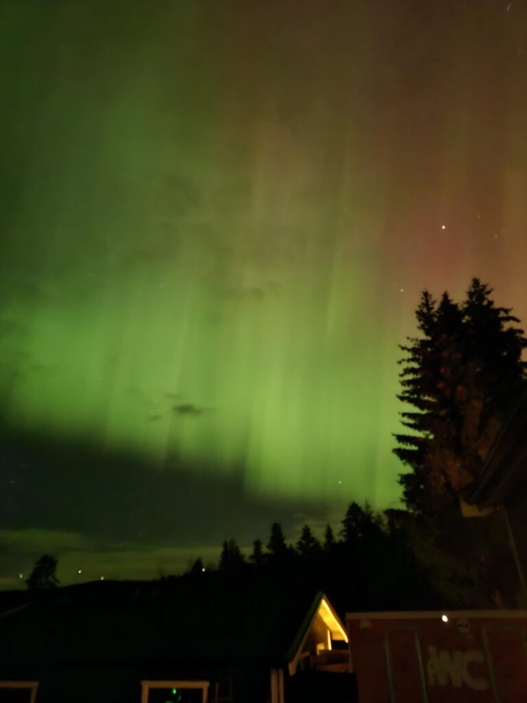ほんの10分前にオーロラの写真を撮りました！ノルウェー南東部。