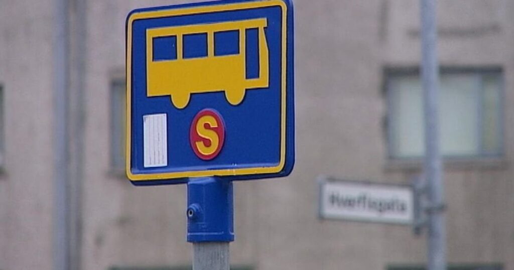 レイキャビクからハフナルまでのバスチケットは17,000以上かかる - RÚV.is