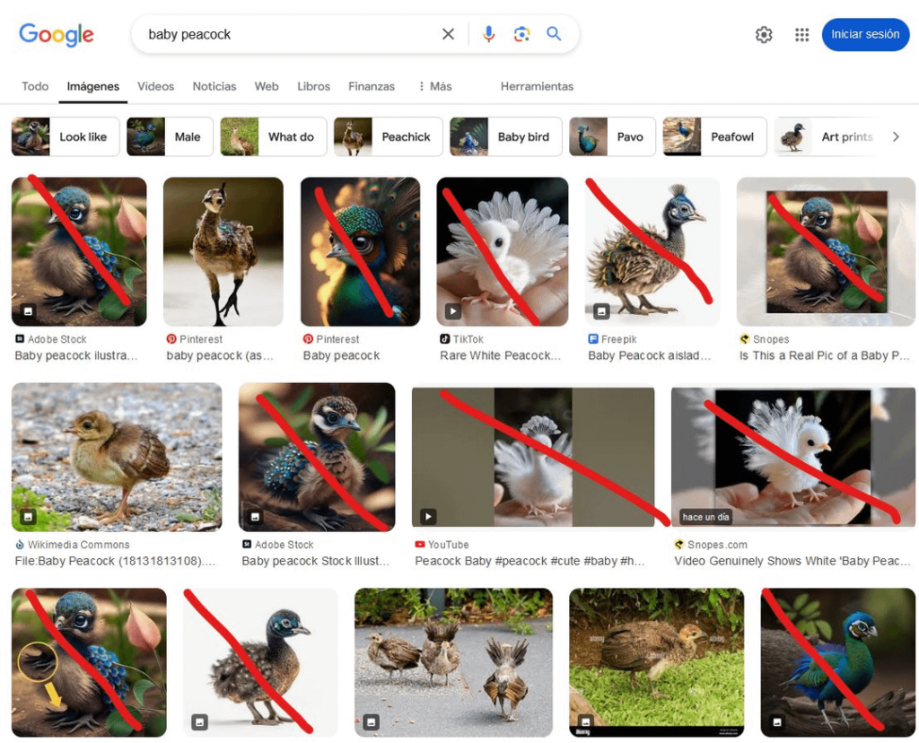 AI の結果が Google 画像の結果に過密になり始めています。また、ベビーブーマー向けに AI によって書かれたレシピが Facebook 上で広まっているとも聞きます。私はすでに YouTube で AI の結果が明らかであるのを個人的に見ています。検索エンジンやソーシャルメディアにおけるこうした変化についてどう思いますか?