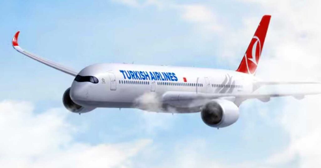 飛行中の旅客機の機長急死 トルコ航空機がニューヨークに緊急着陸、乗客は無事