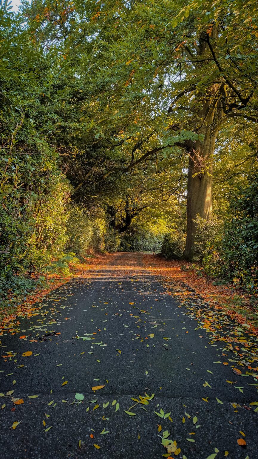 アイルランドの10月は素敵です