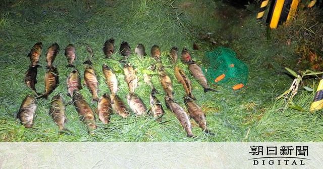 サケ密漁した疑いで男4人逮捕 SNS通じて集まった「匿流」事件か 北海道斜里町