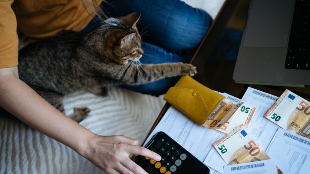 初心者が家を買うチャンスを得るためには、42,000ユーロの自己資金が必要です