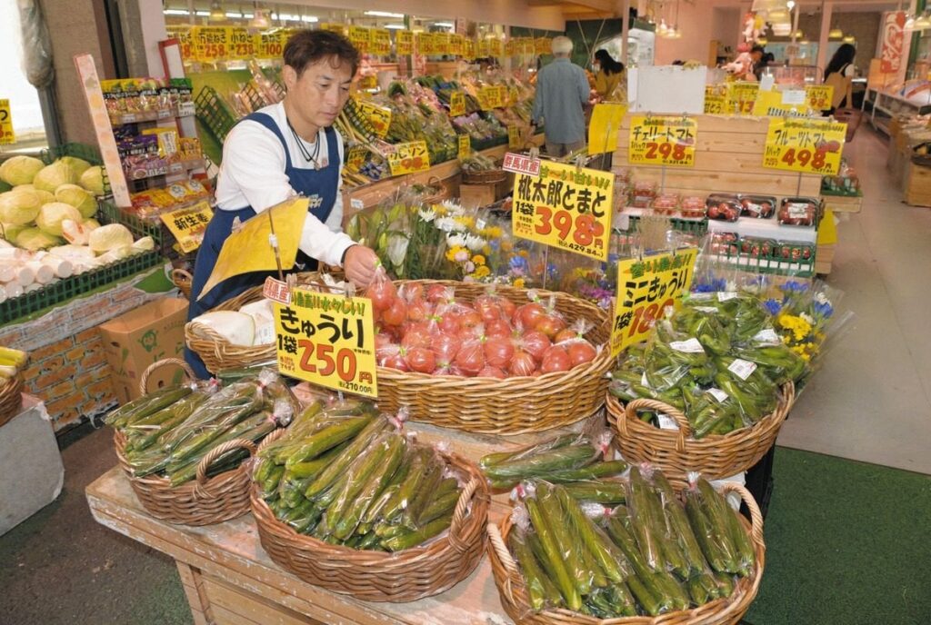 エンゲル係数は42年前に逆戻り…物価高にあえぐ家計 石破政権の対症療法「巨額の税金投入」出口はいつ？