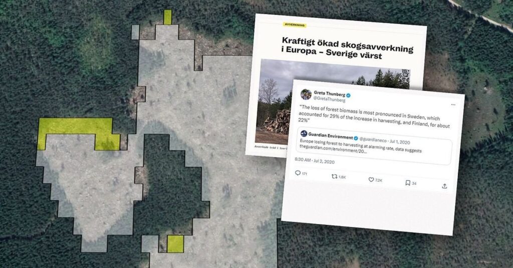 スウェーデンが森林の犯人として名指しされる - EUは誤った情報を得る