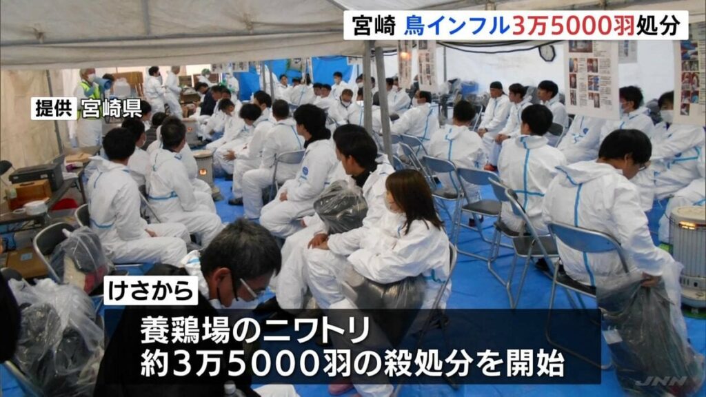 宮崎県川南町で鳥インフルエンザ、3万5000羽を処分 今シーズン全国12例目