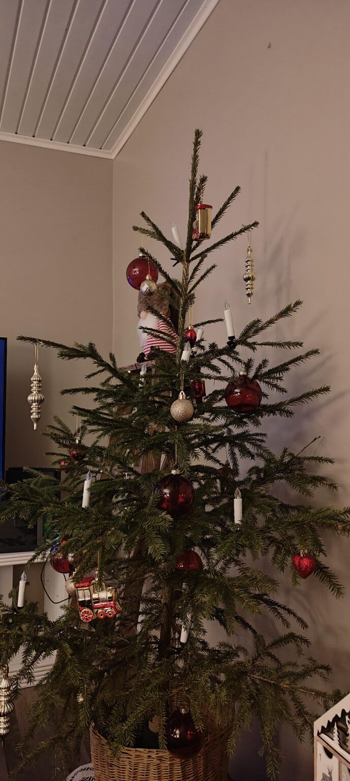 みなさん、ハッピークリスマス/メリークリスマス!