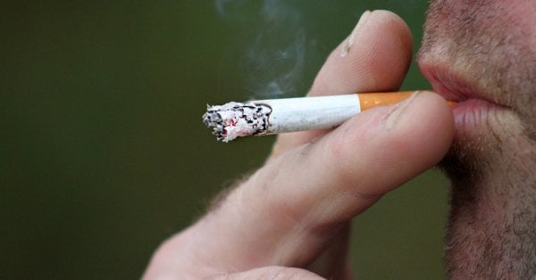 欧州連合ではタバコにより年間 70 万人が死亡しています。なぜフェイスは寝ていて見張らないのでしょうか??