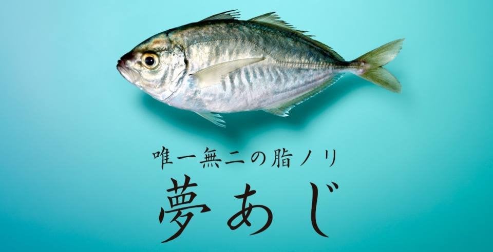 脂ノリ「最強レベル」…!新種の《夢あじ》最速で食べられる、販売方法を見逃すな