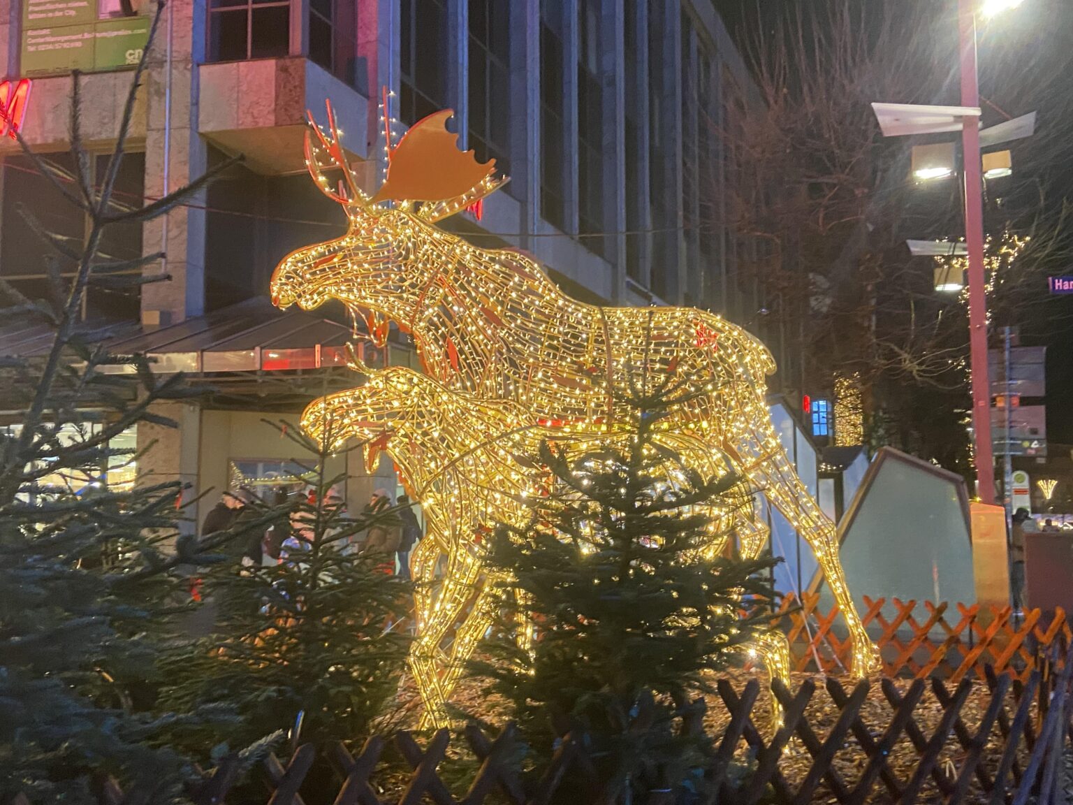 ドイツの外国人はクリスマスをどう過ごす？特にクリスマス以外の地域から来た人や一人暮らしの人は？