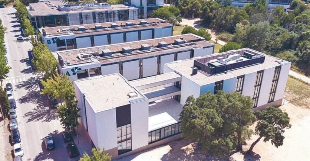 コインブラ：6大IT企業のうち4社がIPNで誕生