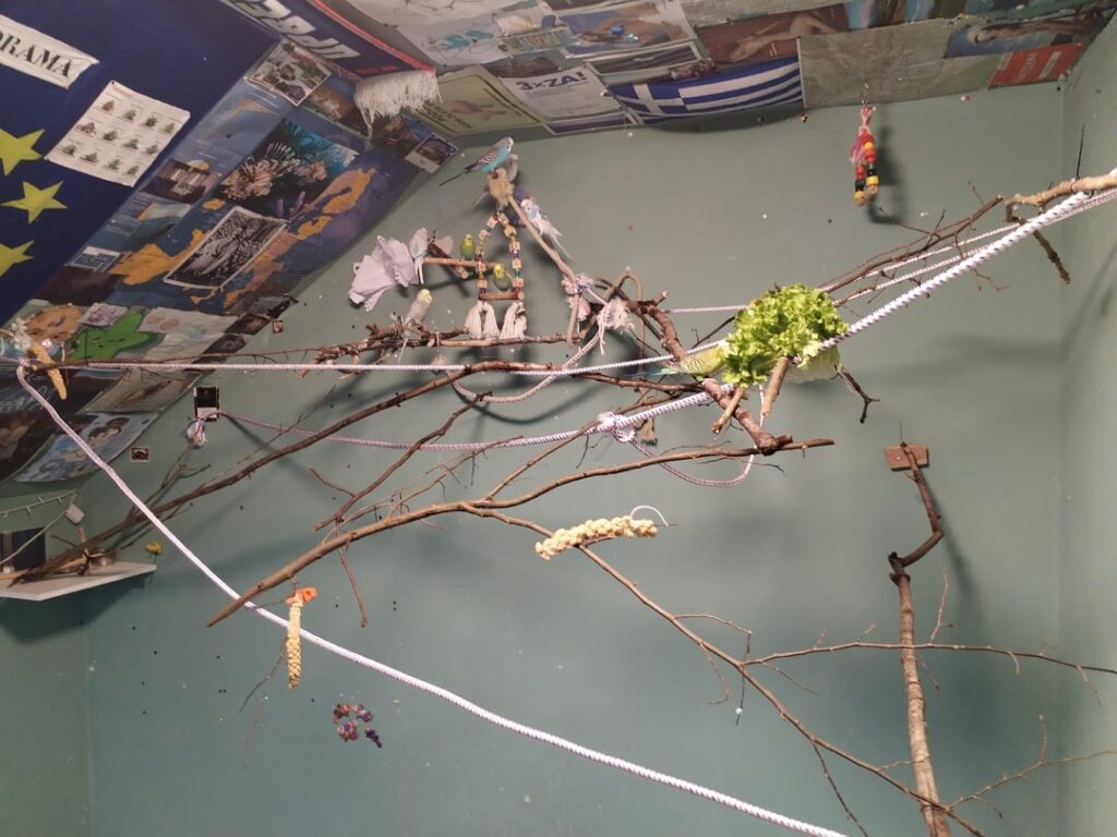 オウムのための部屋