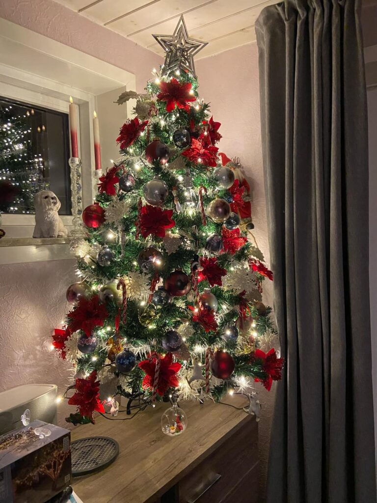 クリスマスツリーを飾りませんか？