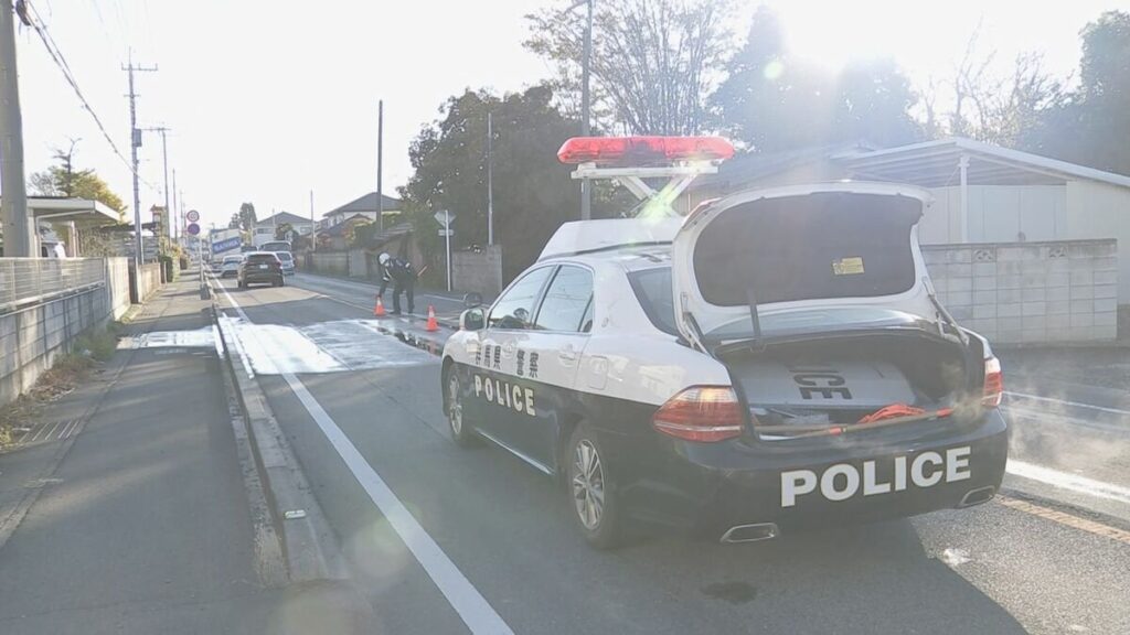 逃げ出した馬が県道で車とぶつかる事故 運転手は軽傷も馬は死ぬ 群馬・伊勢崎市