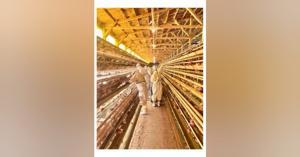 鳥インフル判定最速10分の1に 国立環境研発ベンチャー